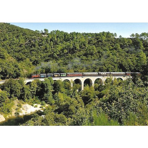 8742: Train a Vapeur des Cevennes.