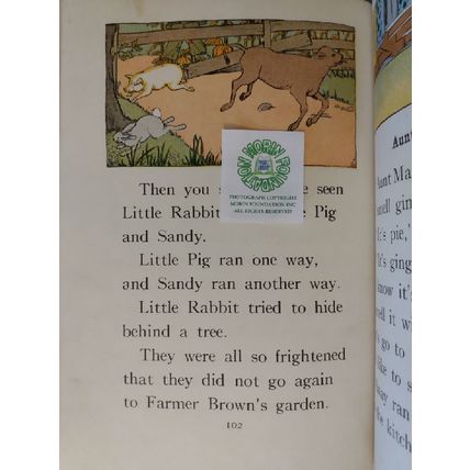 1930 ILLUSTRATED FACT AND STORY READERS BOOK ONE by SUZZALO & FREELAND et al