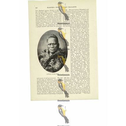 Tawhaio Maori King, New Zealand, Book Illustration (Print), 1891
