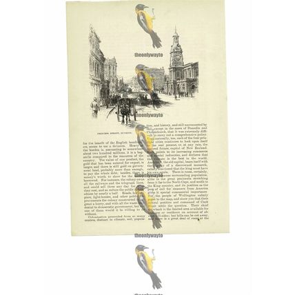 Princess Street, Dunedin, New Zealand, Book Illustration (Print), 1891