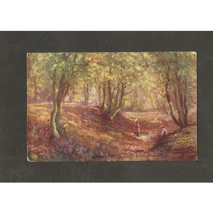 Genealogy Postcard Miss J A Mardon Coffee Palace Crediton Devon 1905