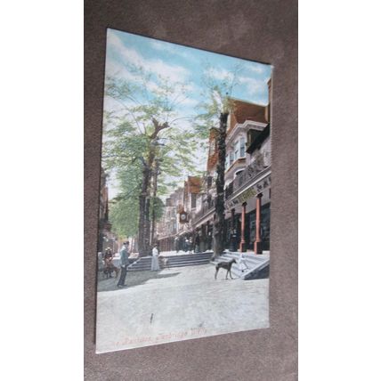 1905 Valentines Postcard - Dog & Child, Pantiles - Tunbridge Wells, Kent