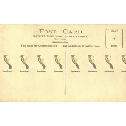 Aira Force,, Ullswater, Cumbria, A506 RP Pettitts Postcard