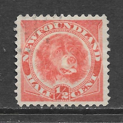 NEWFOUNDLAND 1887 QV DOG LABRADOR FISHING USED SG49 49 SG ROSE RED