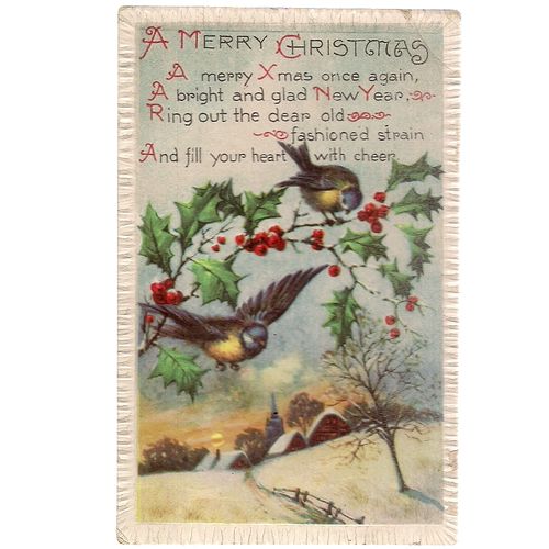 A MERRY CHRISTMAS used vintage postcard not posted BLUE TITS