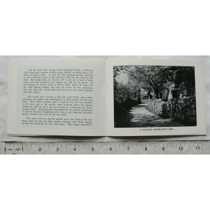 Vintage: Mysteries of the Moor, Souvenir Booklet Dartmoor National Park