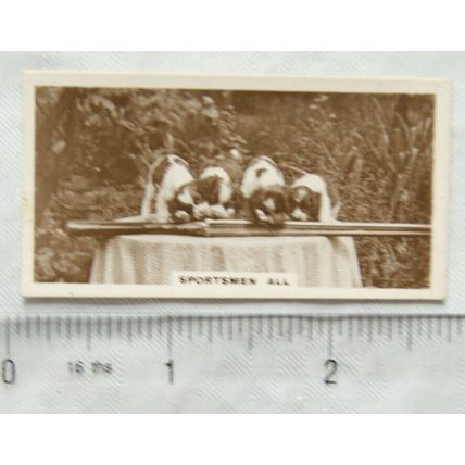 1931 De Reszke Real Photos 2nd series No. 6 Sportsmen All - dogs