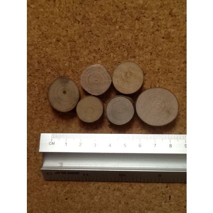 Wooden Stepping Stones Pack of 6 Assorted Sizes