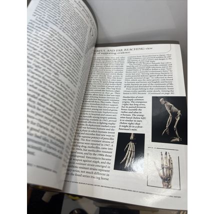 National Geographic Magazine November 2004 Was Darwin Wrong Vintage Collectible