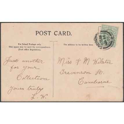 A Pair of Swans, 1905 - Postcard
