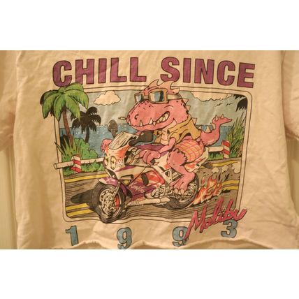 Vintage John Galt Chill Since 1993 Malibu California Women’s Cropped Tee