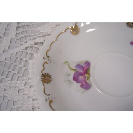 N D & CO Nowotny & Dressle CARLSBAD CHINA AUSTRIA Teacup & Saucer Unique Design