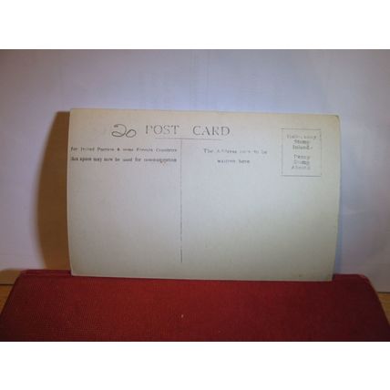 AARESCHLUCT BEI MAIRINGEN, SWITZERLAND unused antique postcard RP =