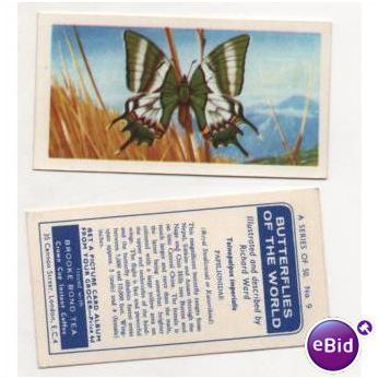 Brooke Bond Tea card BUTTERFLIES OF THE WORLD no.9 Teinopalpus imperialis