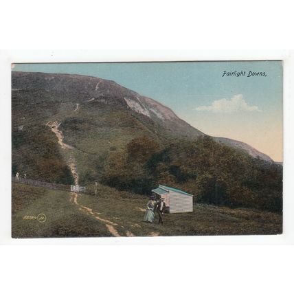 Fairlight Downs Postcard East Sussex 58384