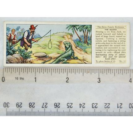 1935 Typhoo Swiss Family Robinson No. 11 The Iguana