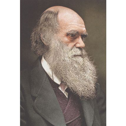 Charles Darwin Victorian Colour Added Photo Museum Postcard