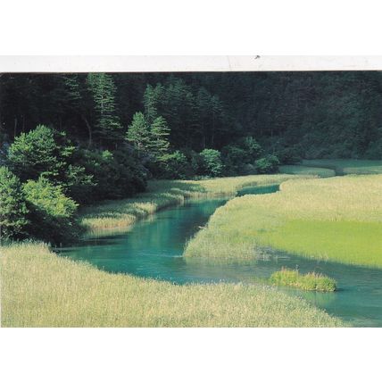 Reed Lake China Postcard posted 1999 VGC