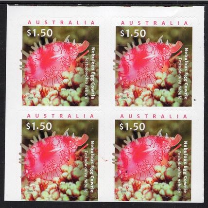 AUSTRALIA: 2025, LIVING SEASHELLS, EGG COWRIES BLOCK OF 4 MNH S/A STAMPS 1
