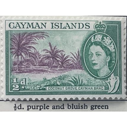 Cayman Islands 1954 ½d purple & green Coconut Grove Mounted Mint MM SG 149 stamp