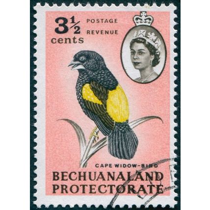 Bechuanaland 1961 3½c Yellow-rumped Bishop SG171 used