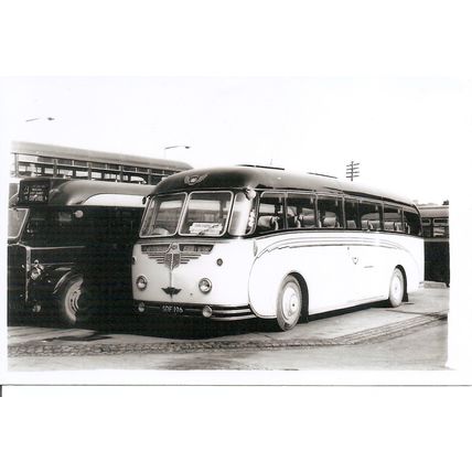 Black & White Photograph of Black & White Motorways Ltd. - SDF 196