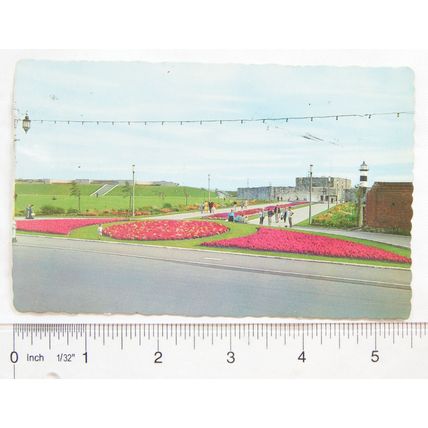1960s postcard Southsea, Castle Gardens