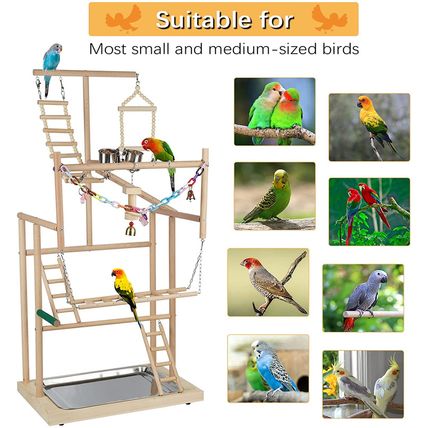 Pet Parrot Playstand Parrots Bird Playground Bird Play Stand Wood Perch Gym Play