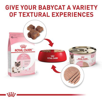 Royal Canin Feline Health Nutrition Mother & Babycat Ultra Soft Mousse in Sauce