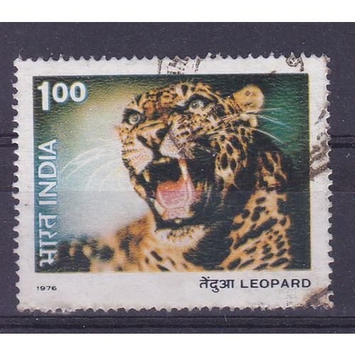 INDIA 1976 WILDLIFE 1R LEOPARD USED SG827