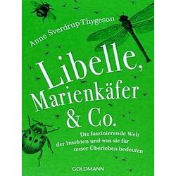Libelle, Marienkafer Co