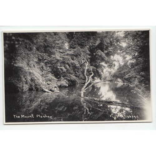 The Mount Pleshey Postcard RP Near Chelmsford Essex 76345