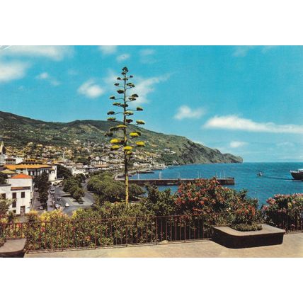 Madeira Funchal View from St Catarina Park Portugal Postcard posted VGC