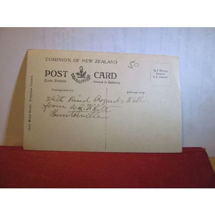'PELORUS JACK' a 15' Dolphin,Nelson Harbour NEW ZEALAND used antique postcard =