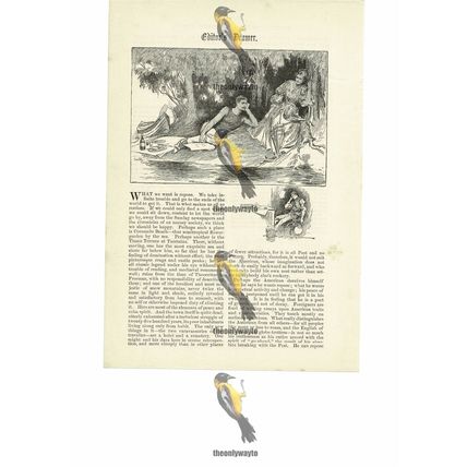 Picnic By The Sea, Victorian Romance, Book Illustration (Print), 1891