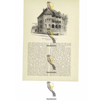 Dwelling On Lake Shore Drive, Chicago, USA, Book Illustration (Print), 1891