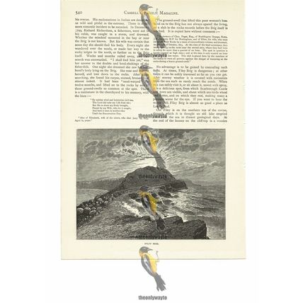 Filey Brig, North Yorkshire, England, Book Illustration (Print), 1884