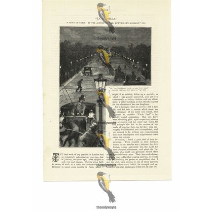 Paris At Night, France, Book Illustration (Print), 1884