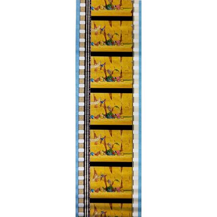 Pokemon . Pk FBP - G0164h . 1 STRIP OF 5 - 35MM FILM CELLS