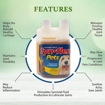 Concentrated Liquid Glucosamine for Dogs & Cats with Chondroitin: 1500Mg High Po