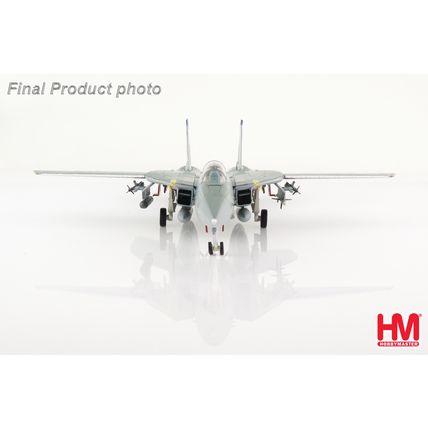 GRUMMAN F-14B TOMCAT OEF 163220 VF-143 "PUKIN DOGS" - HOBBY MASTER HA5243 1/72