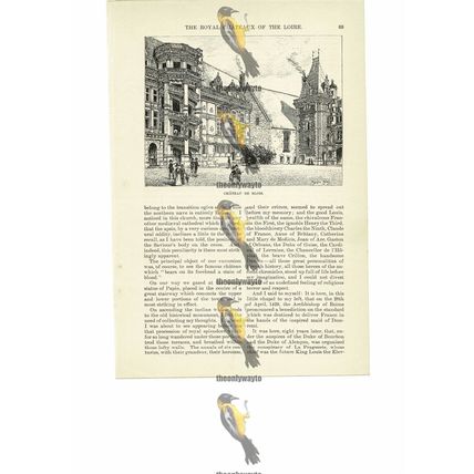 Chateau De Blois, France, Book Illustration (Print), 1891