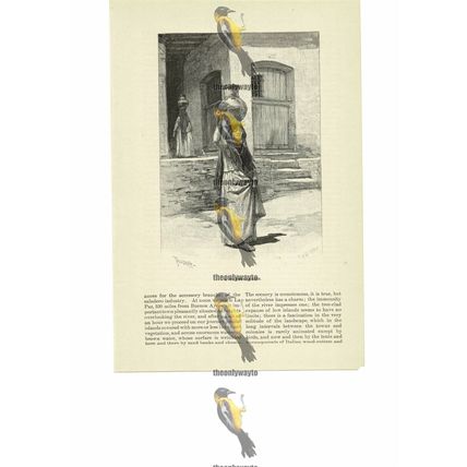 Water Carrier, Argentina, Book Illustration (Print), 1891