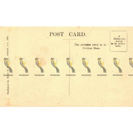 Chapel, Trinity College, Oxford, Alden Postcard