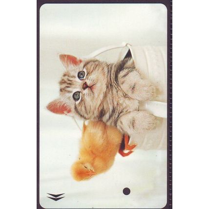 Cats S'pore SMRT Train Card