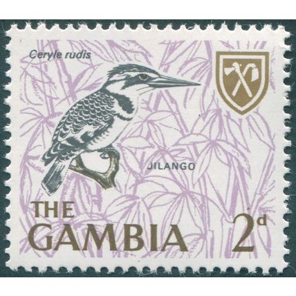 Gambia 1966 2d Lesser Pied Kingfisher SG236 MNH