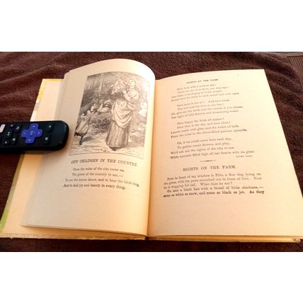 Old Vintage Animal Book # 0501 Animal Stories Series Charles E Graham & Co