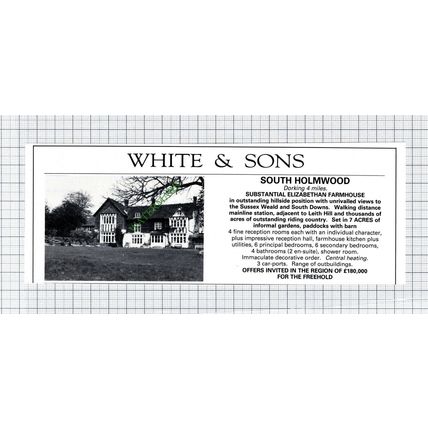 South Holmwood Dorking House Sale Advert - 1981 Cutting