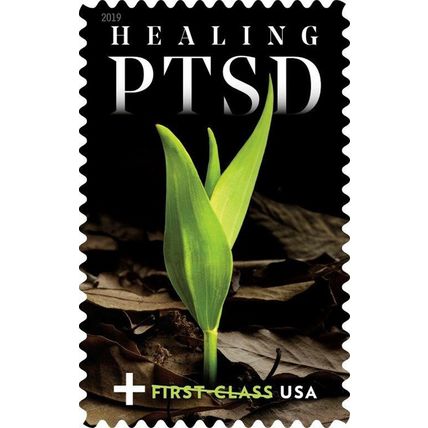 PTSD Semi-Postal Sheet of 20 Current Rate Postage Stamps Scott B7 - Stuart Katz