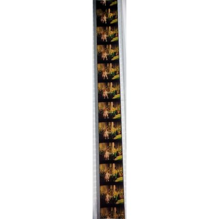 WIZARD OF OZ . Pk RED - B029c. 1 STRIP OF 10 - 35MM FILM CELLS